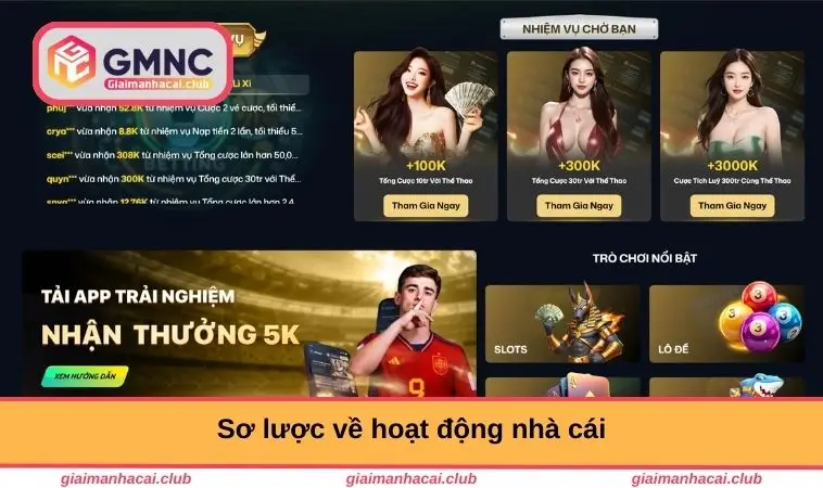 Sơ lược về hoạt động nhà cái