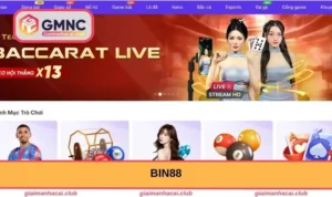 bin88